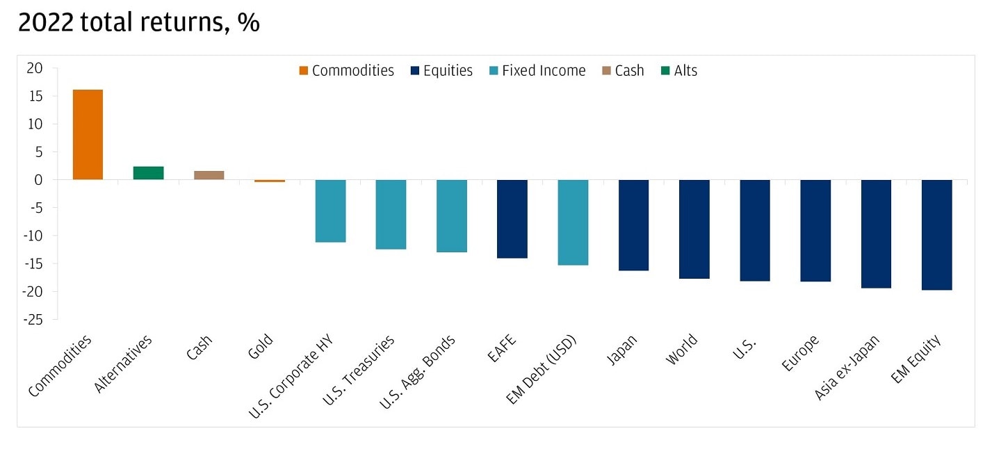 The bar chart displays the total returns in percentage for various asset classes in 2022.