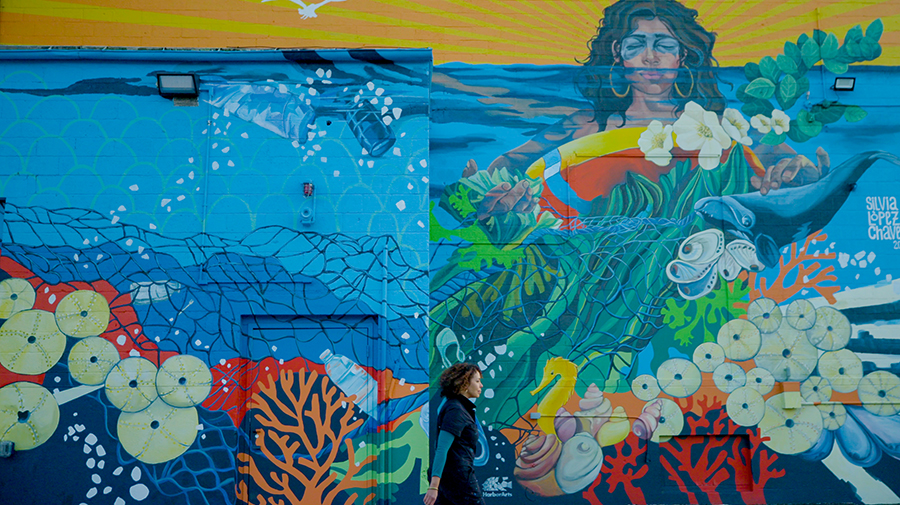 Artist Silvia López Chavez in front of her mural at the ICA Watershed