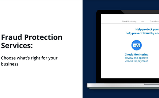 Fraud Protection Services: Choose what's right for your business.