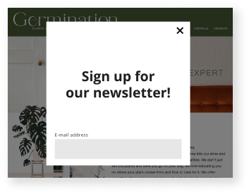 Image of sign up pop-up with email and subscribe button to learn more about new arrivals, sales and special events.