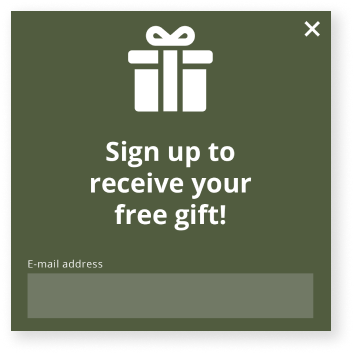 Image of sign up pop-up to receive a free gift when entering an email address.