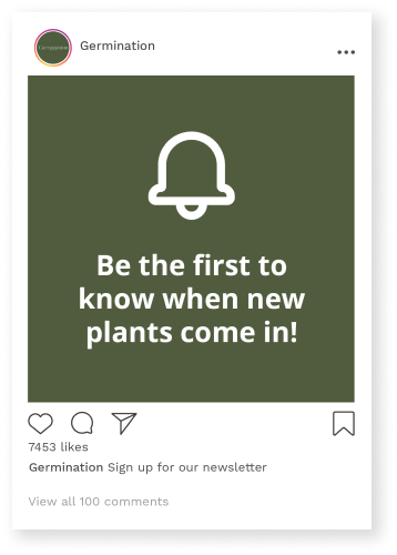 Image of an Instagram post for users to sign up for a newsletter with post as, be the first to know when new plants come in.