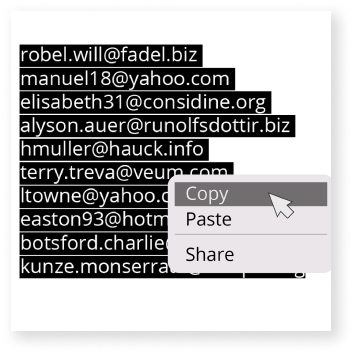 Image of a list of email addresses from an online group being copied to use to send out emails to.