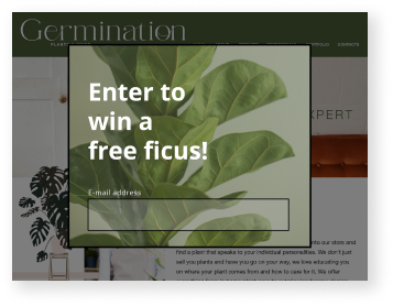 Image of website pop-up to enter email in order to win a free ficus.