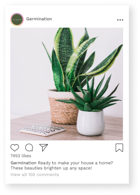 Social post with plants on a desk