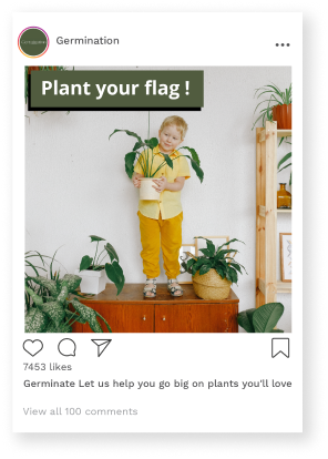 A post showing "Plant your flag!" and a child standing with many plants.