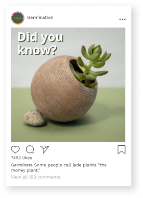 A post showing 'Did you know? Some people call jade plants the money plant.'