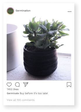 A post showing a plant on a white background