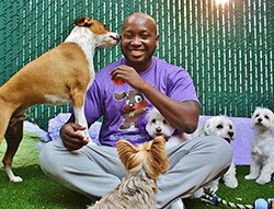 Brian Taylor, owner of Harlem Doggie Day Spa Brian Taylor, owner of Harlem Doggie Day Spa