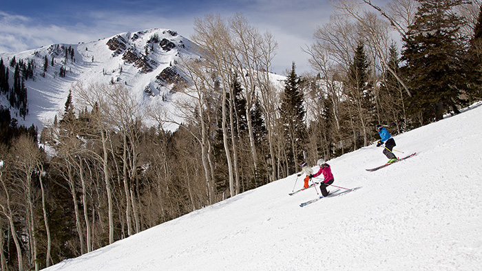 What to do people skiing
