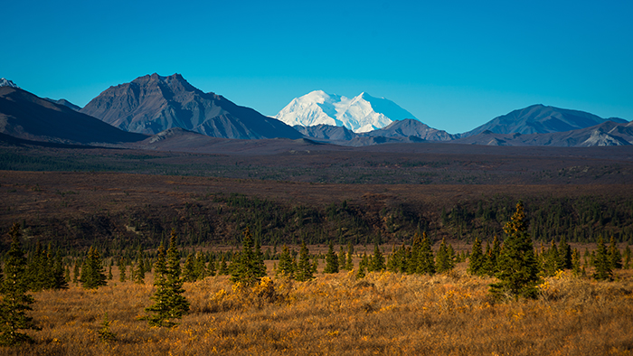 Denali National Park and Preserve Denali National Park and Preserve