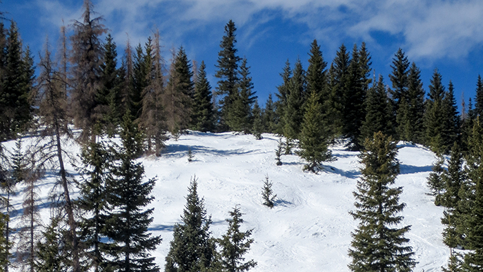 Ski Resorts Wolf Creek Ski Area