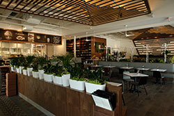 Ruggles Green, Houston Ruggles Green Eatery