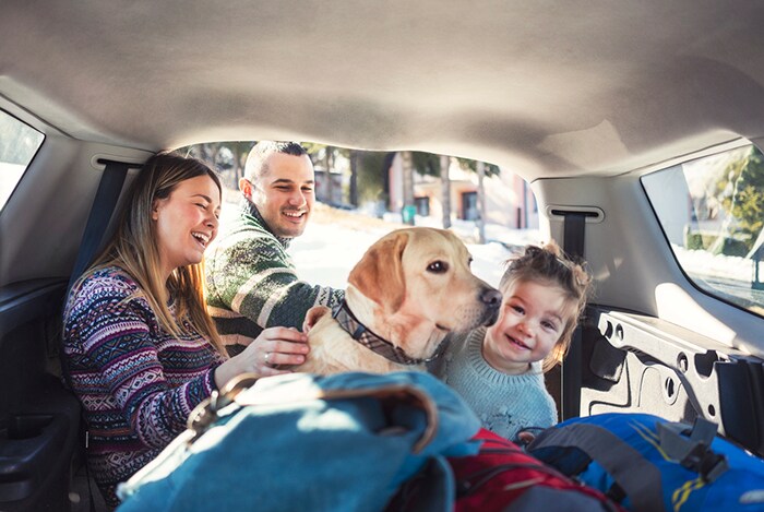 road tripper family