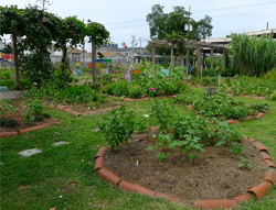 Edible School Yard Edible School Yard