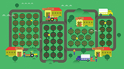 The making of a designer apple Illustration