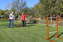 Ladder Golf People playing in backyard