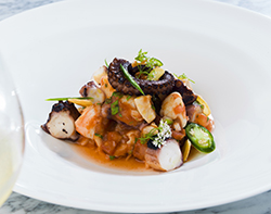 Ceviche That Food in a plate