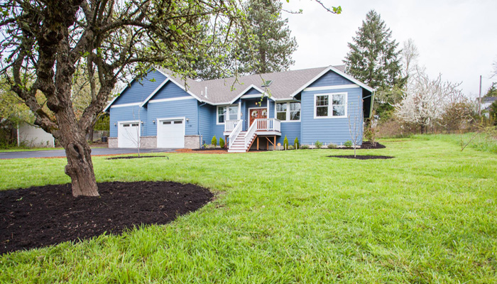 Why millennials are buying homes in the suburbs family house with front yard