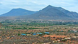 Work on a farm Mount Kilimanjaro in Kenya