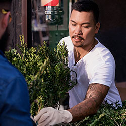 Cutting Edge Man trimming plants
