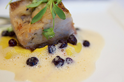 Chicago's Acadia food in a plate