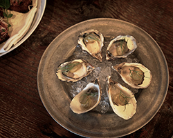Casual atmosphere with fresh, local ingredients oysters in a plate