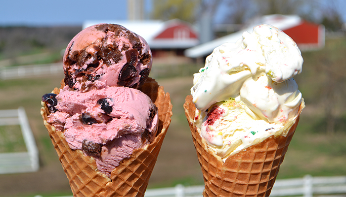 The Pursuit - Moomers two ice cream cones