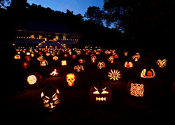 See the Great Pumpkins hand-carved pumpkins illumination