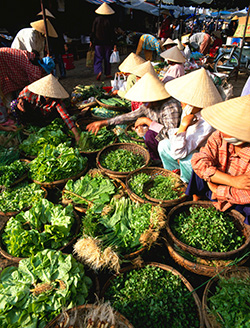 Central Market Central Market
