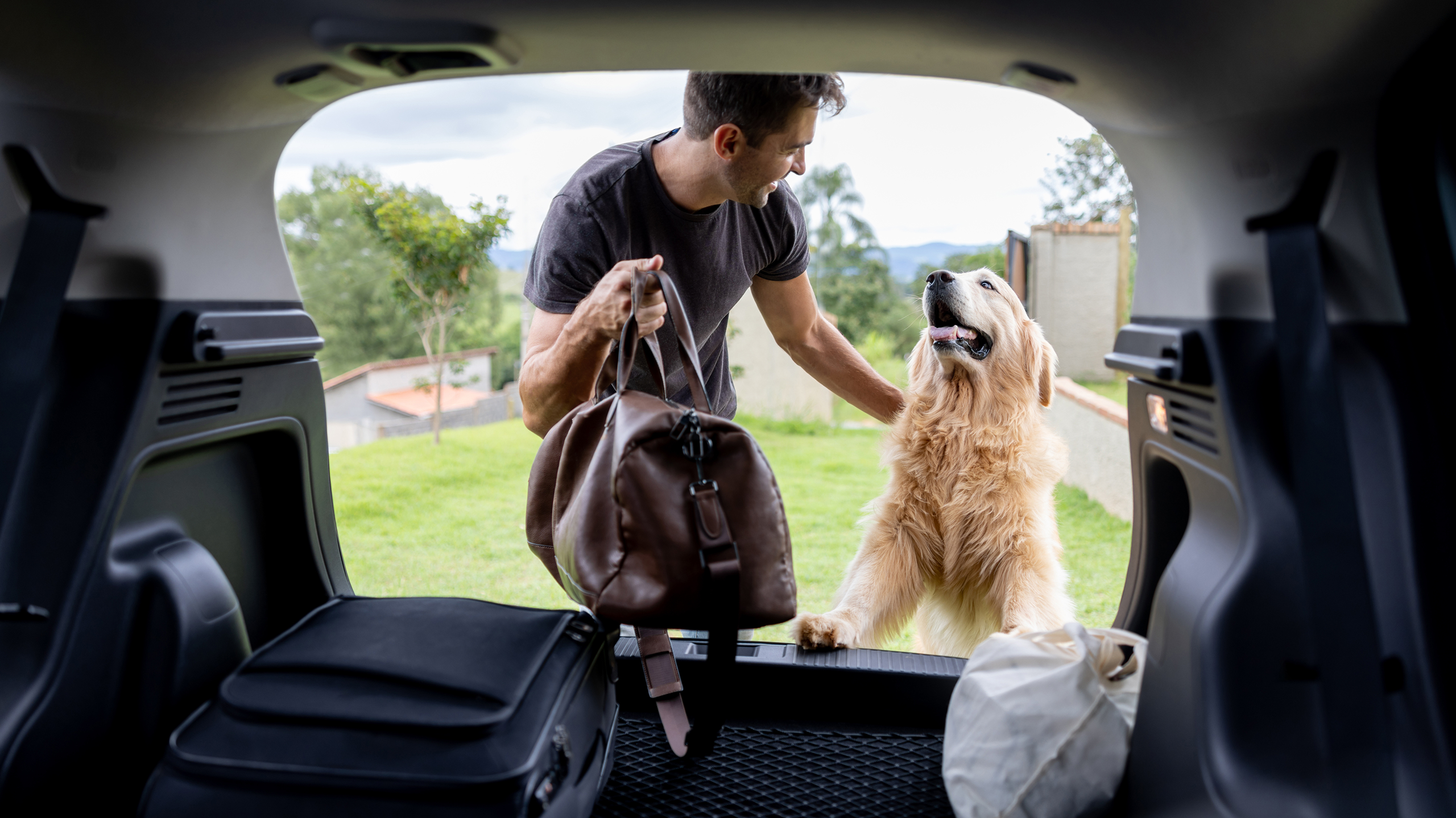 Dog Seat Belts: What Pet Parents Should Know About Car Safety