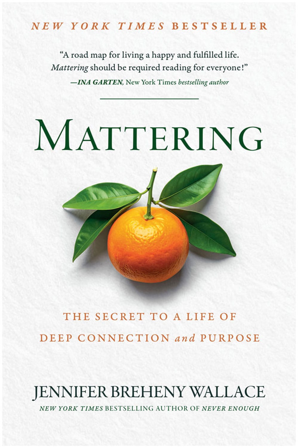 Mattering: The Secret to a Life of Deep Connection and Purpose, by Jennifer Breheny Wallace
