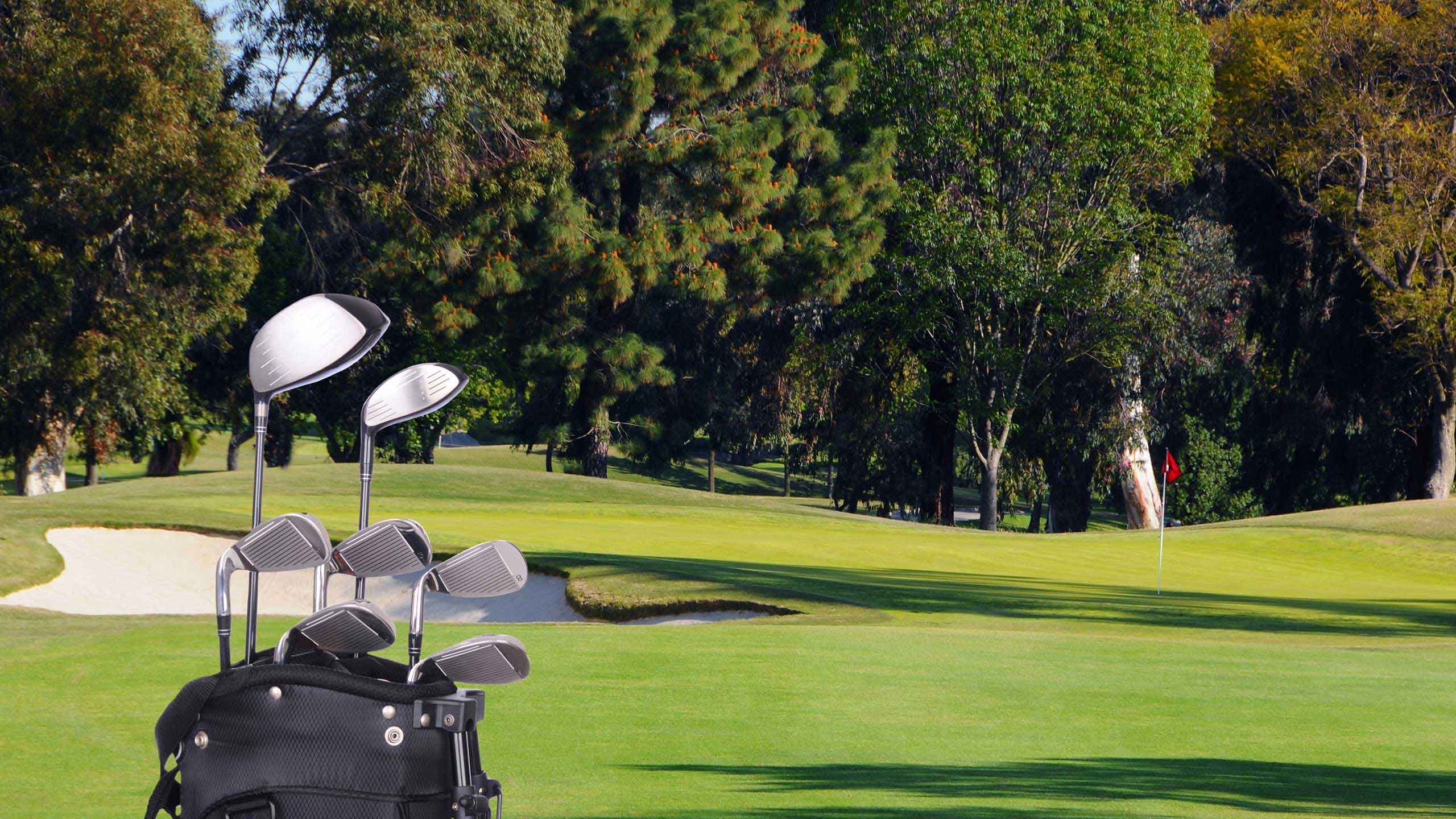 Pga masters winner outlet