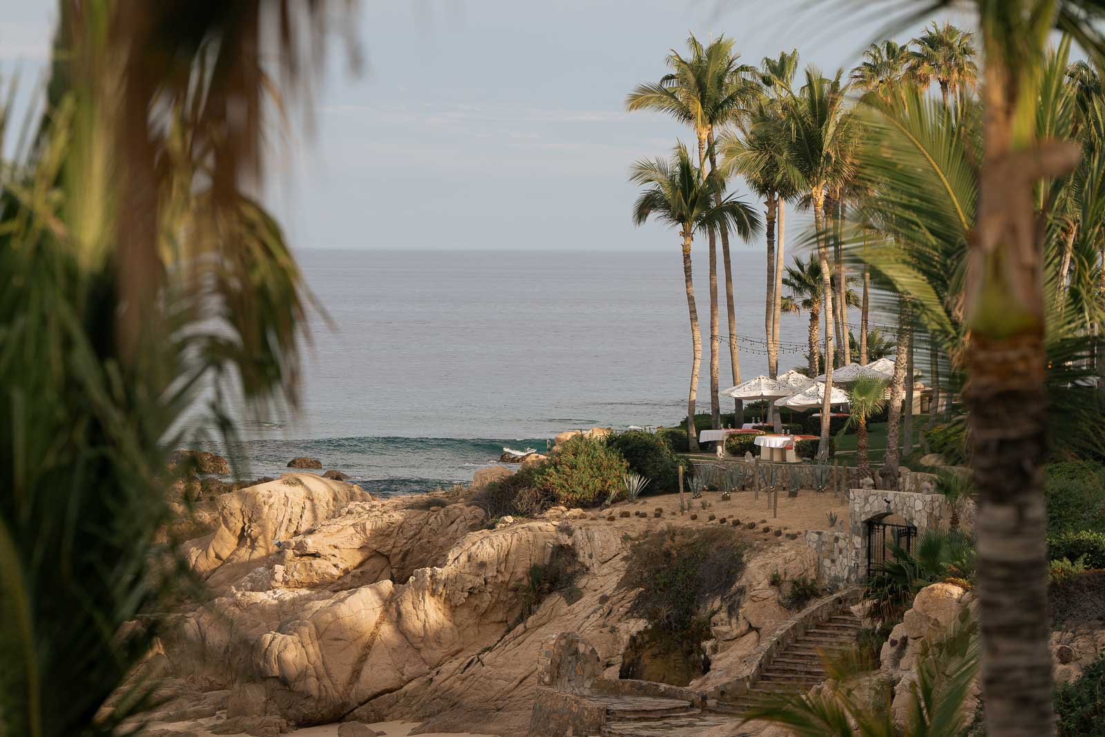 The Sea of Cortez