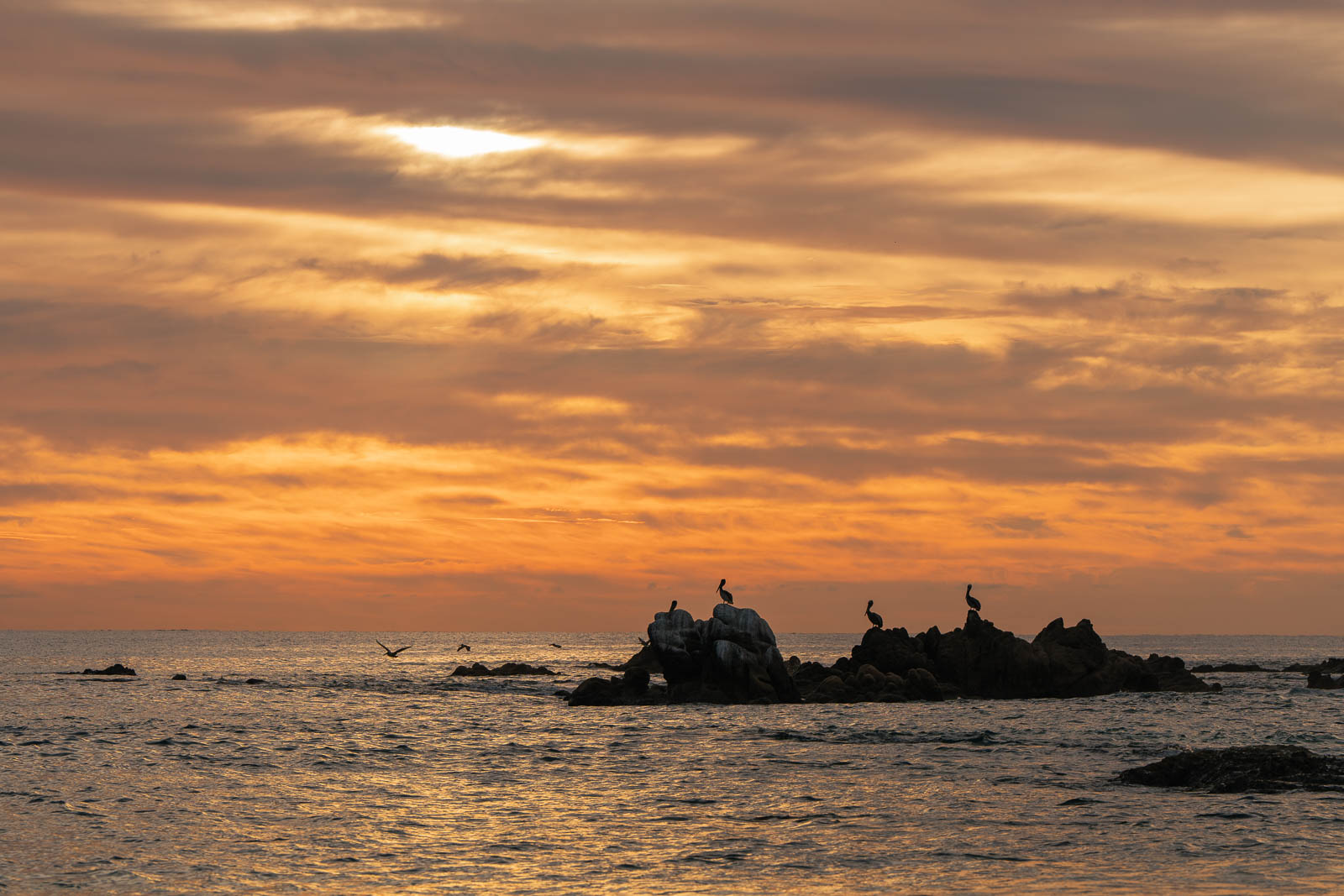 Sea of Cortez