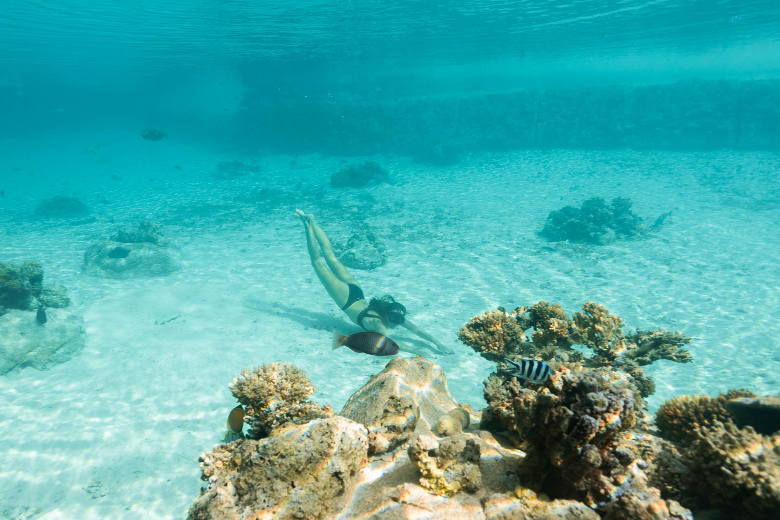 Snorkeler in lagoon