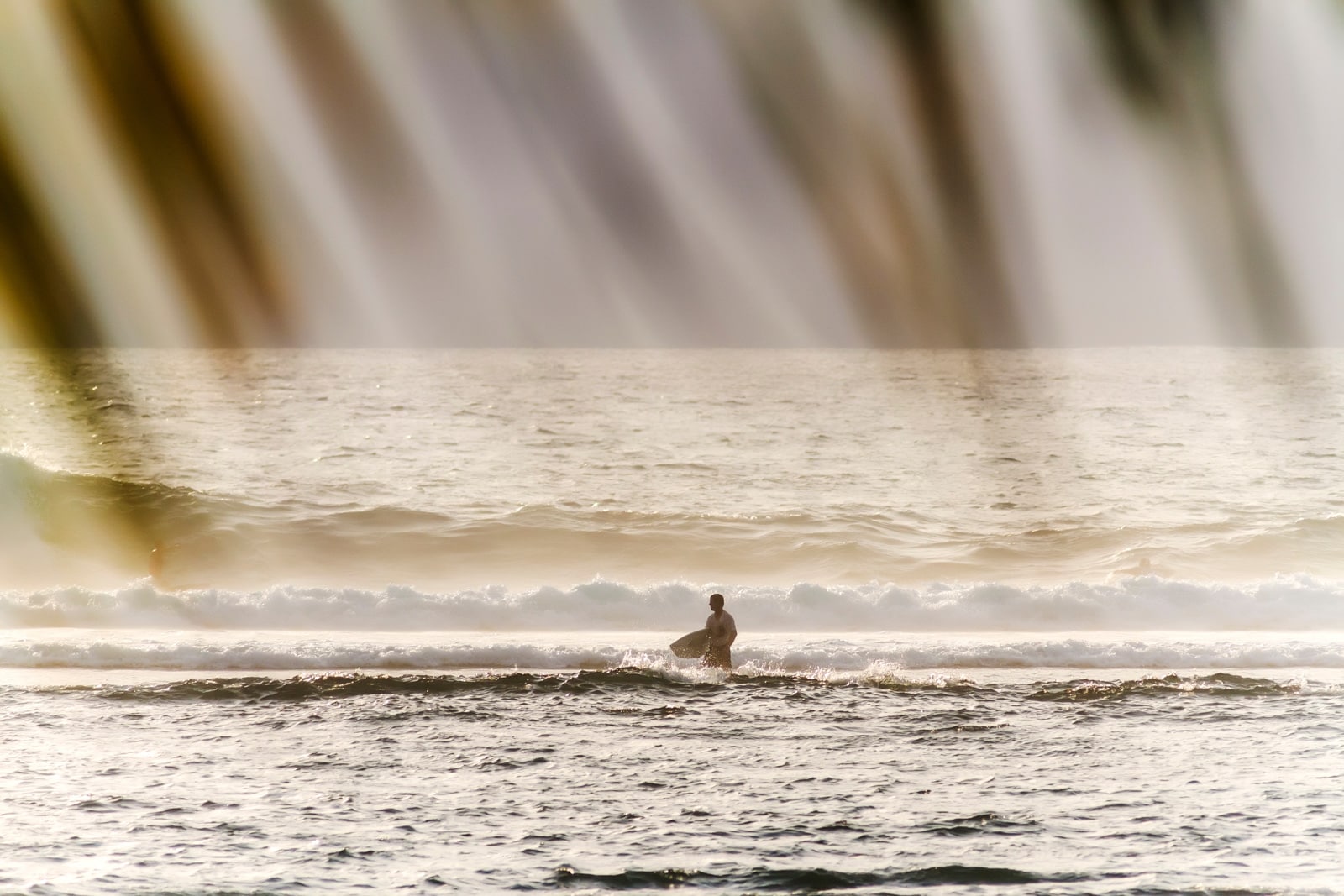 Surfer standing in shimmering ocean waves, sunlight streaming through palm leaves overhead.