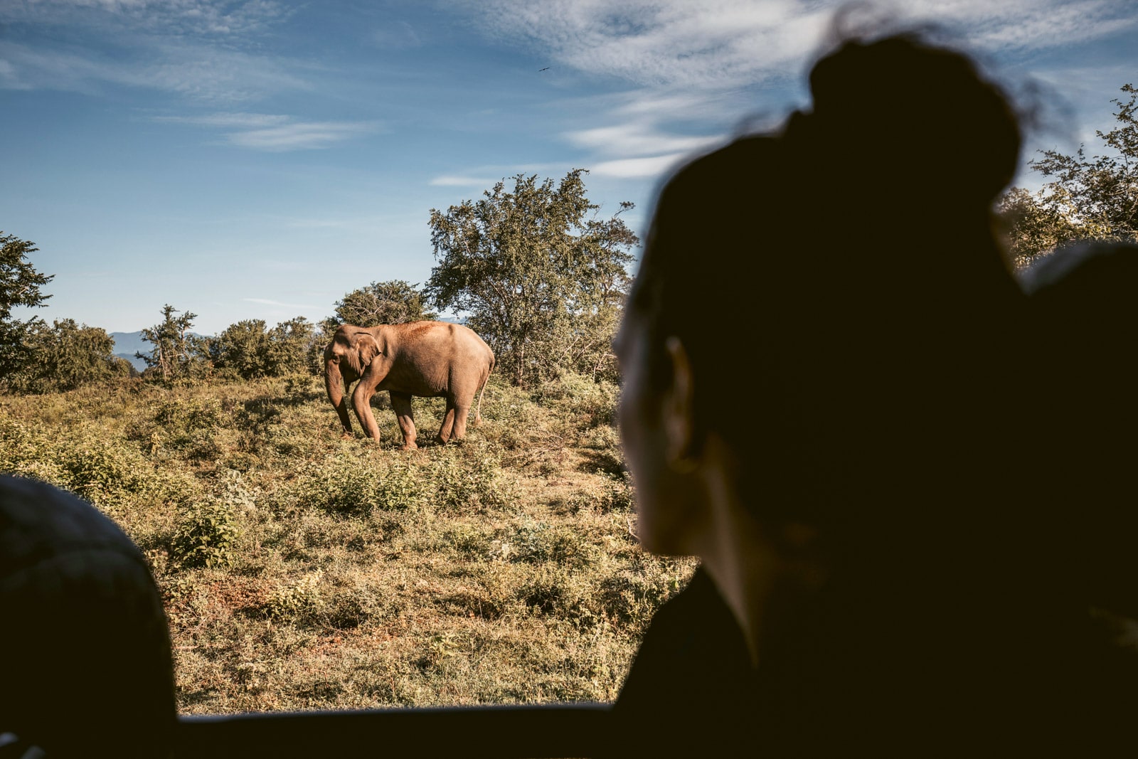 Morgentliche Safari in Udawalawa. Sri Lanka, Udawalawa
