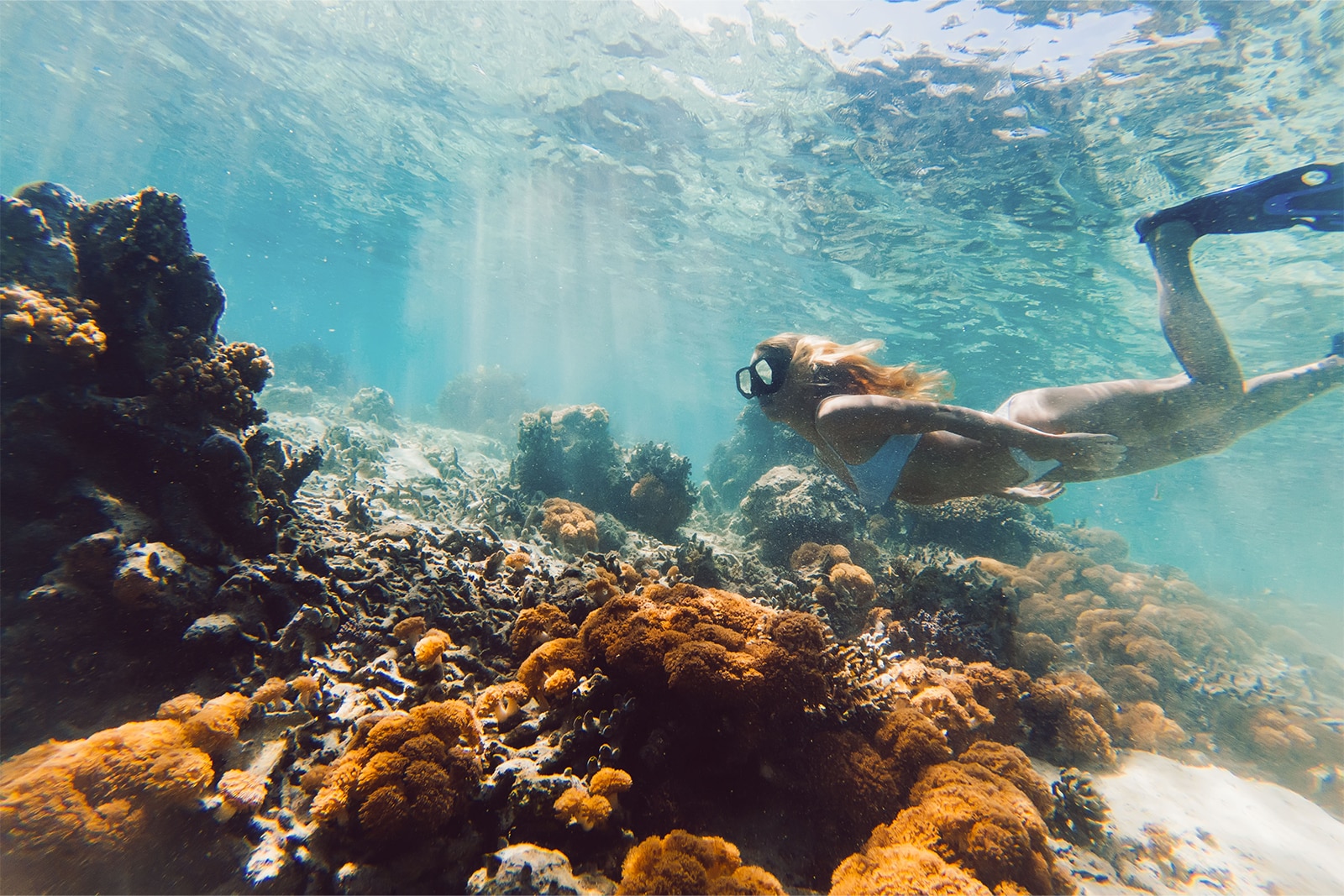 Woman scuba diving in the ocean in the Bahamas