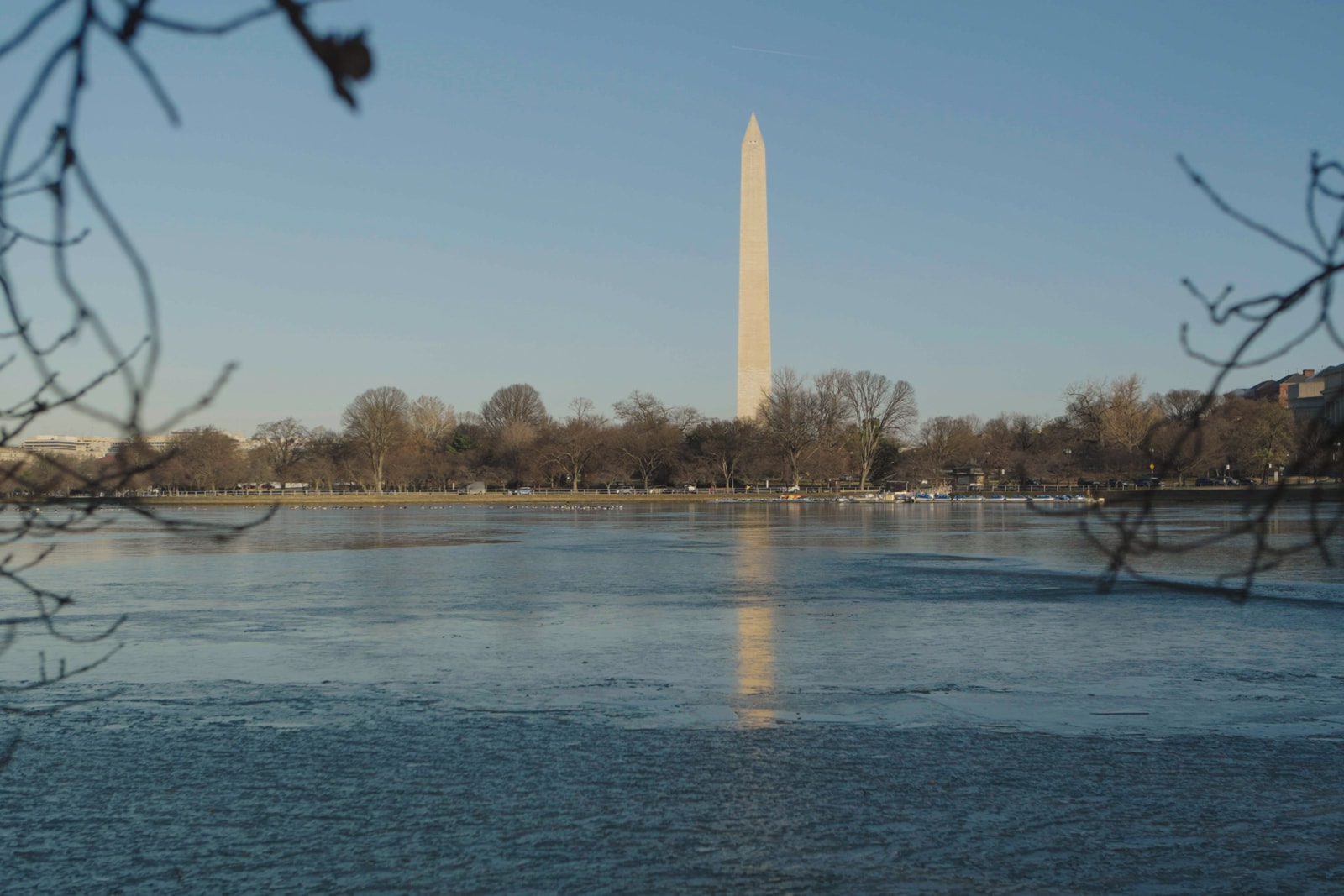 The Washington Monument in Washington, D.C. towers over the Tidal Basin.