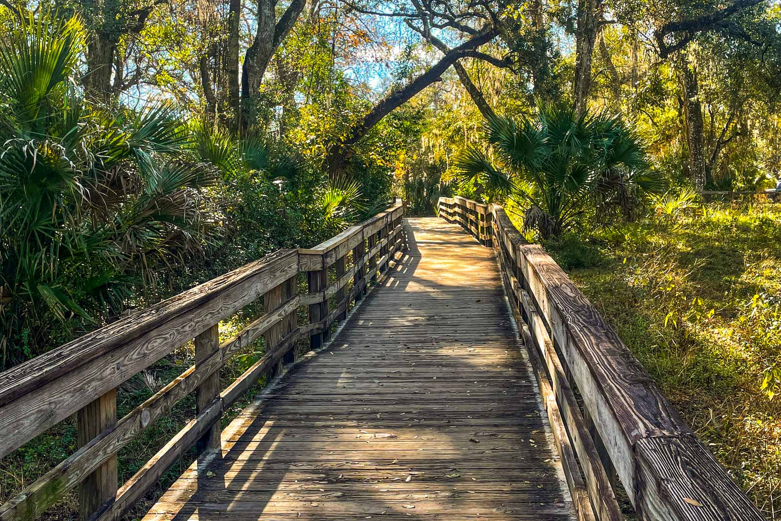 Wooden pathway through trees.