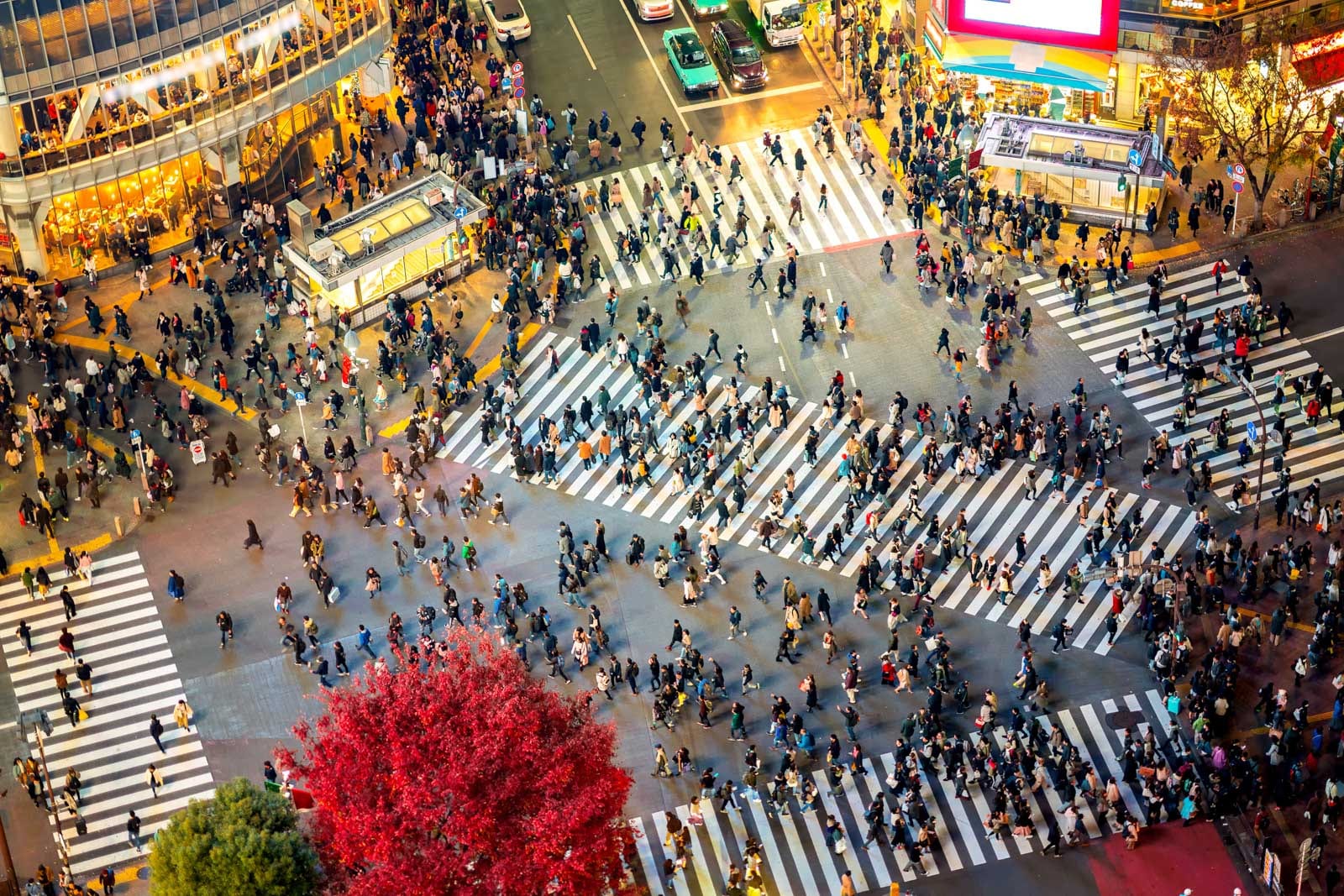Crowds crossing a busy intersection with striped crosswalks in a vibrant city.