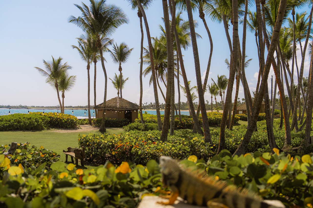 View of resort grounds
