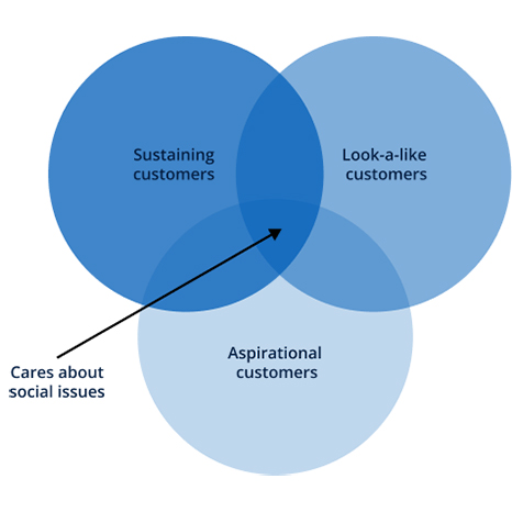 Venn diagram example showing segment overlap where three groups care about social issues